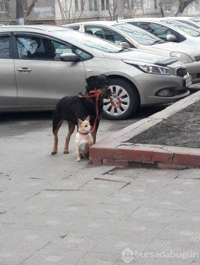 Günün en çok paylaşılan fotoğrafları (10.01.2019)