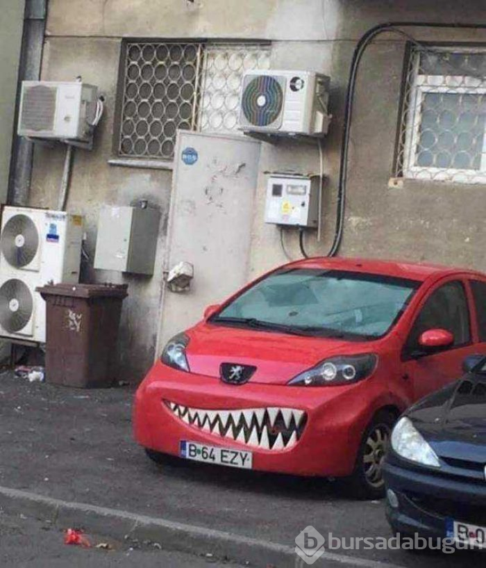 Günün en çok paylaşılan fotoğrafları (10.01.2019)