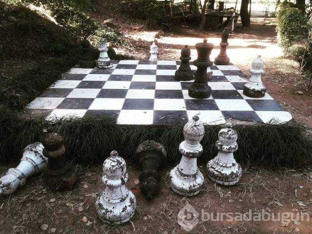 Günün en çok paylaşılan fotoğrafları (10.01.2019)