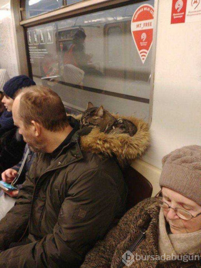 Günün en çok paylaşılan fotoğrafları (10.01.2019)