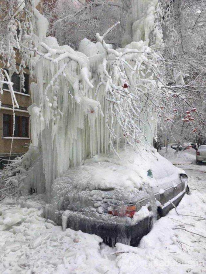 Günün en çok paylaşılan fotoğrafları (11.01.2019)