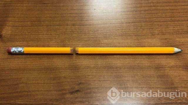Günün en çok paylaşılan fotoğrafları (11.01.2019)