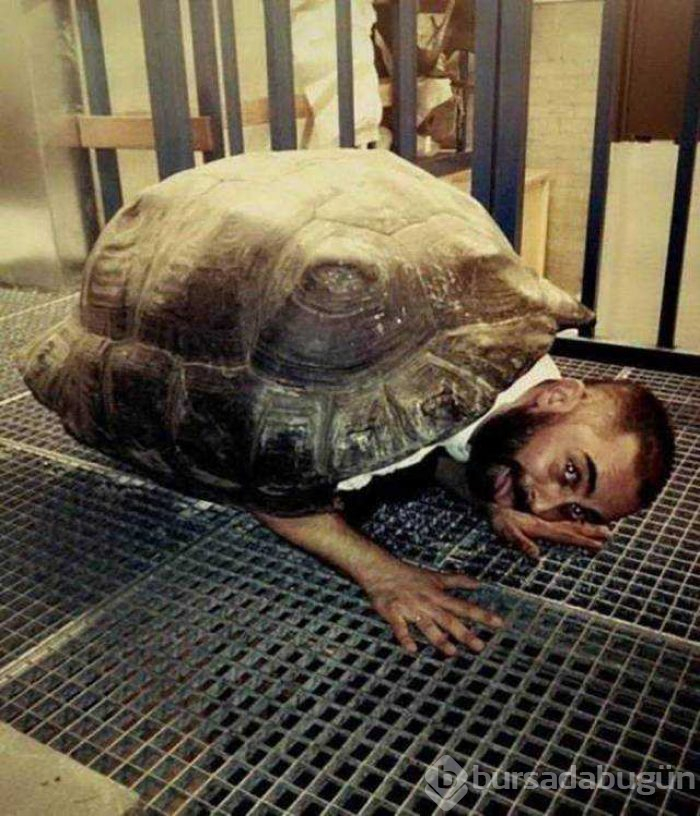 Günün en çok paylaşılan fotoğrafları (11.01.2019)