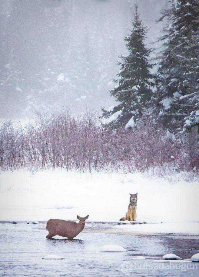 Günün en çok paylaşılan fotoğrafları (11.01.2019)