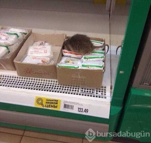 Rusya'dan akıl almaz fotoğraflar
