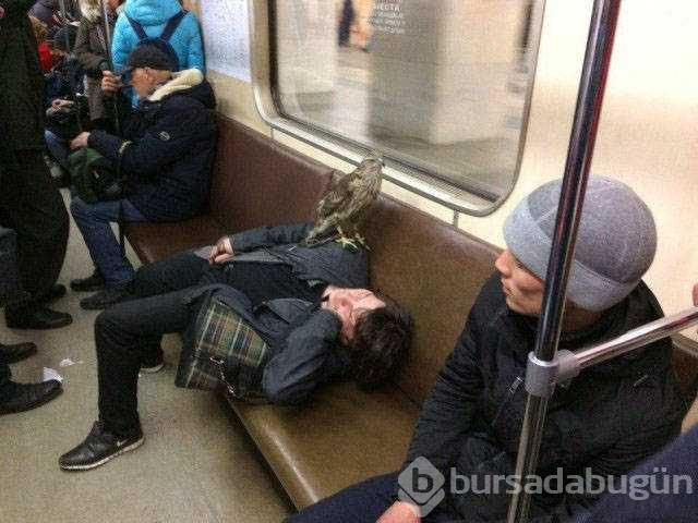 Rusya'dan akıl almaz fotoğraflar
