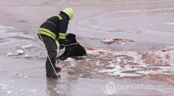 Buz üstünde kurtarma operasyonu