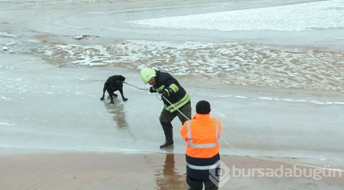 Buz üstünde kurtarma operasyonu