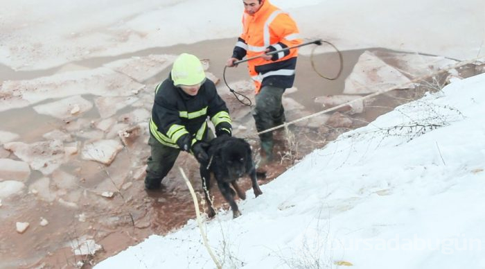 Buz üstünde kurtarma operasyonu
