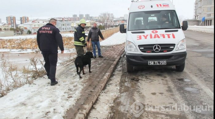 Buz üstünde kurtarma operasyonu