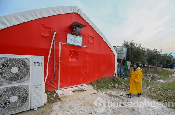 İstiridye mantarı üreterek 2 yılda 100 bin lira kazandı
