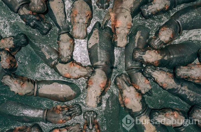 2018'in en iyi drone fotoğrafları