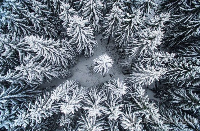 2018'in en iyi drone fotoğrafları