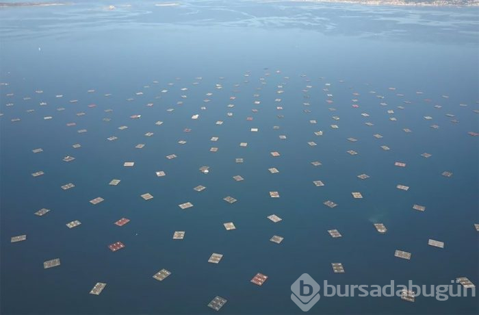 2018'in en iyi drone fotoğrafları