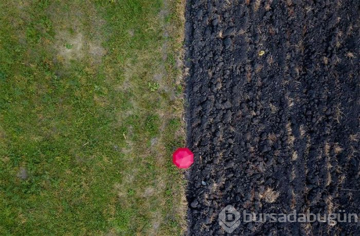 2018'in en iyi drone fotoğrafları