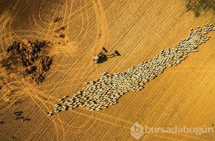 2018'in en iyi drone fotoğrafları