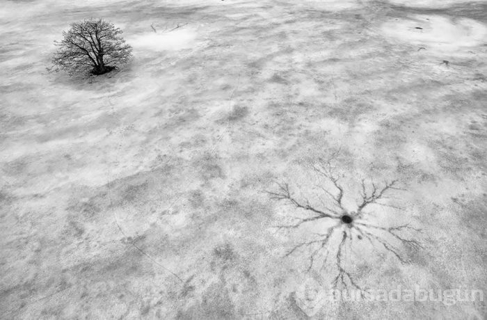 2018'in en iyi drone fotoğrafları