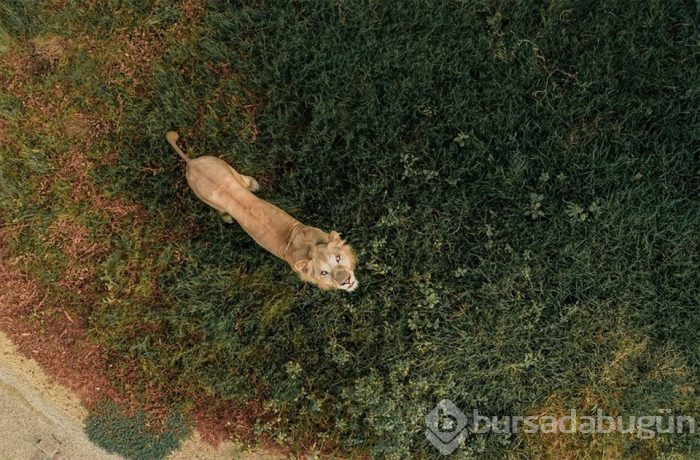 2018'in en iyi drone fotoğrafları