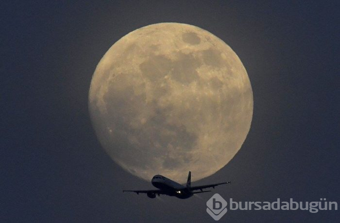 'Süper Kanlı Kurt Ay' için geri sayım (Türkiye'den izlenebilecek mi?)
