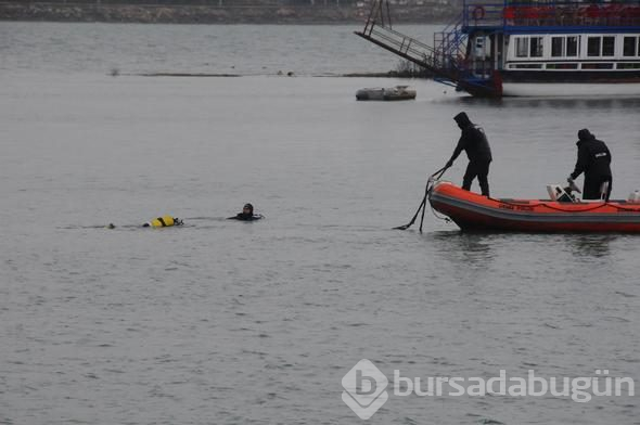 Adana'da otomobil göle uçtu

