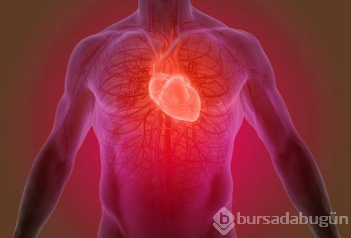 Balık yemek için 10 neden