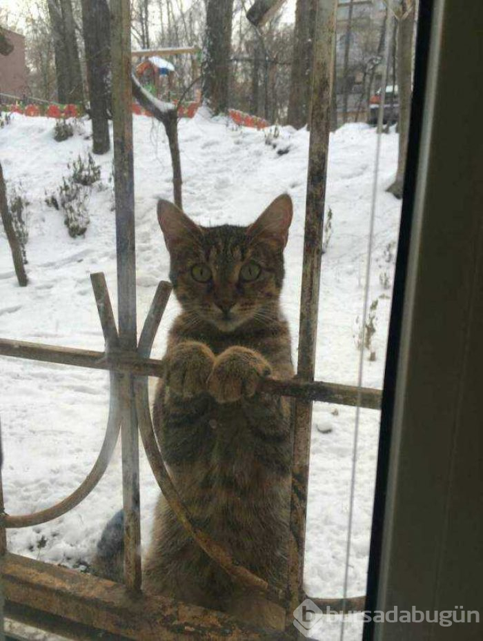 Günün en çok paylaşılan fotoğrafları (16.01.2019)