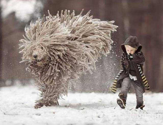 Günün en çok paylaşılan fotoğrafları (16.01.2019)