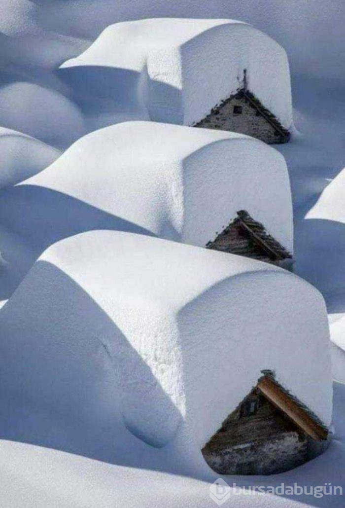 Günün en çok paylaşılan fotoğrafları (16.01.2019)