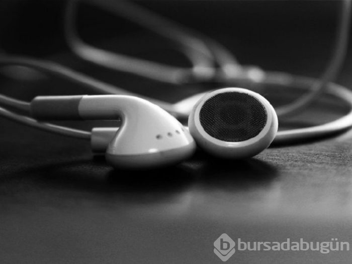 Kulaklıklardaki büyük tehlike! Hamam böceği yumurtası kulağınızda olabilir
