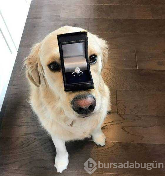 Günün en çok paylaşılan fotoğrafları (17.01.2019)