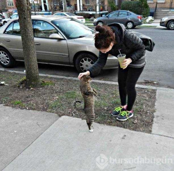 Günün en çok paylaşılan fotoğrafları (17.01.2019)