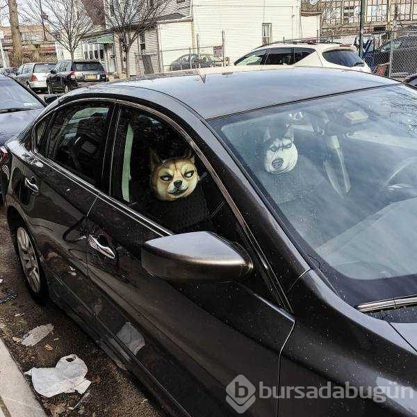 Günün en çok paylaşılan fotoğrafları (17.01.2019)