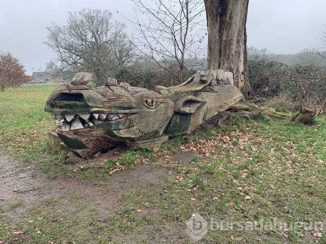 Günün en çok paylaşılan fotoğrafları (17.01.2019)