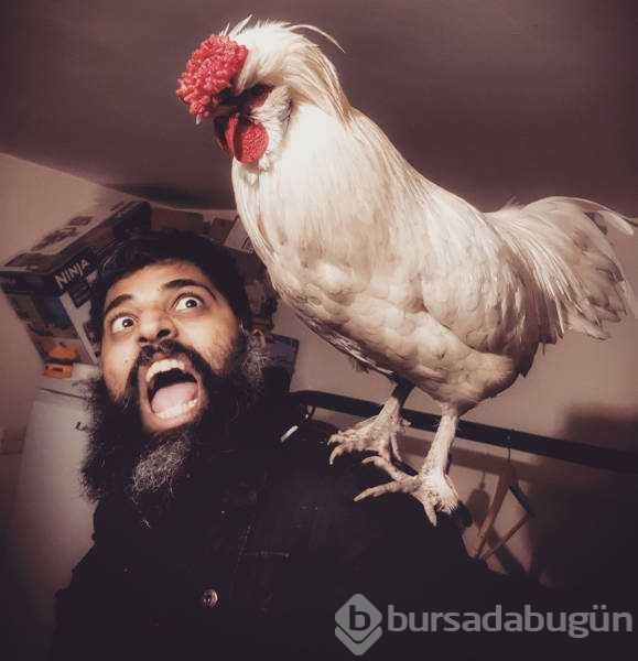 Günün en çok paylaşılan fotoğrafları (17.01.2019)