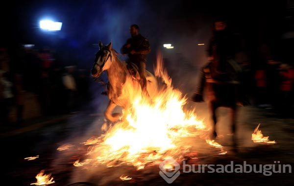 Atlar ateş üstünde yürütüldü! İşte sebebi
