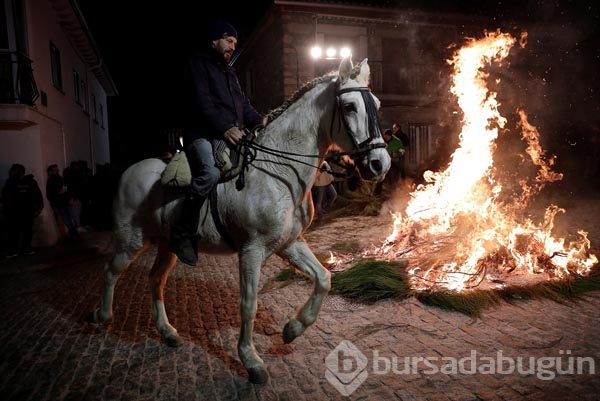 Atlar ateş üstünde yürütüldü! İşte sebebi
