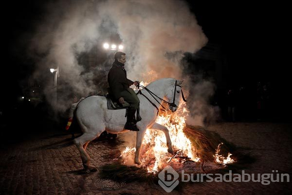 Atlar ateş üstünde yürütüldü! İşte sebebi
