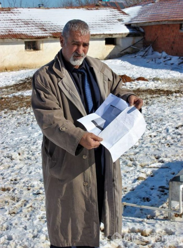 'Ukrayna'dan canlı hayvan getireceğim' diye on binlerce dolar para topladı
