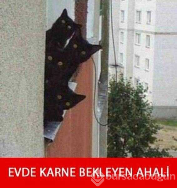 Sosyal medyayı kırıp geçen karne günü capsleri
