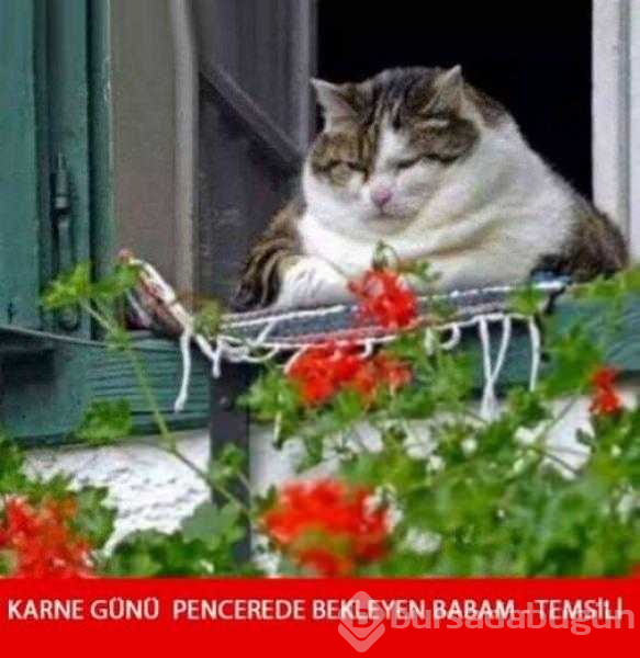 Sosyal medyayı kırıp geçen karne günü capsleri

