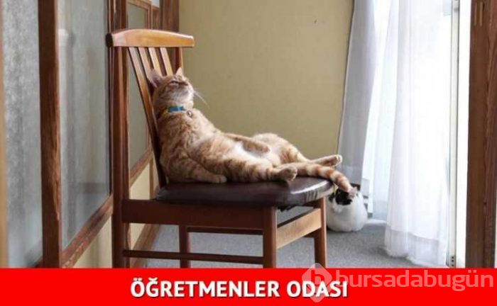 Sosyal medyayı kırıp geçen karne günü capsleri

