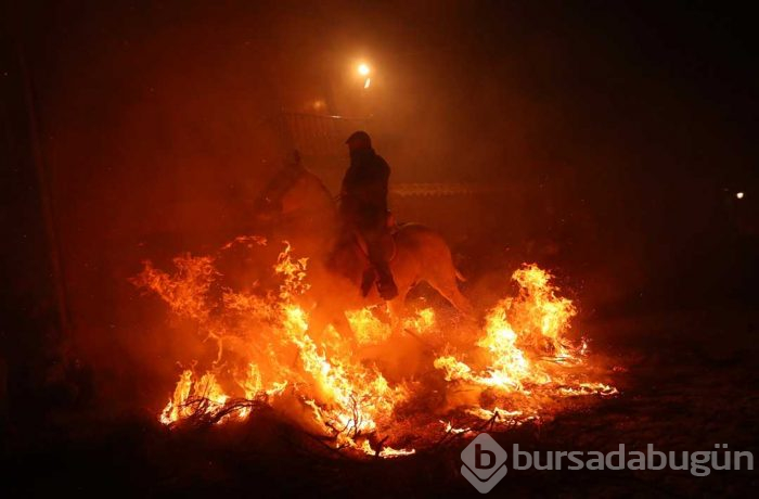 300 yıllık gelenekle atlar ateş üstünde yürütüldü
