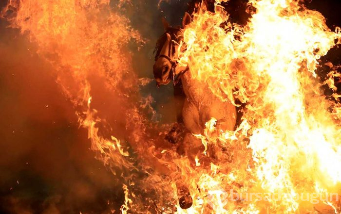 300 yıllık gelenekle atlar ateş üstünde yürütüldü
