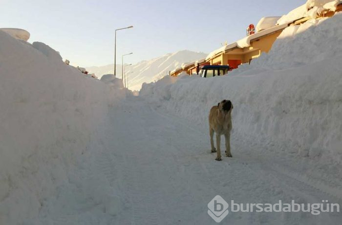 Tunceli'de bir ilçe kar nedeniyle görünmez oldu
