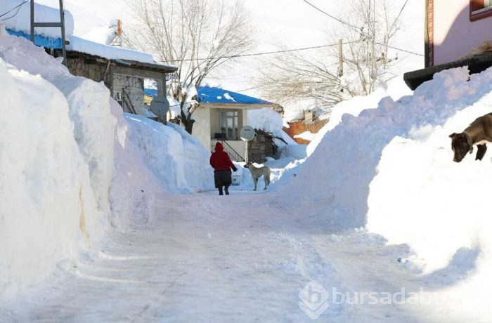 Tunceli'de bir ilçe kar nedeniyle görünmez oldu
