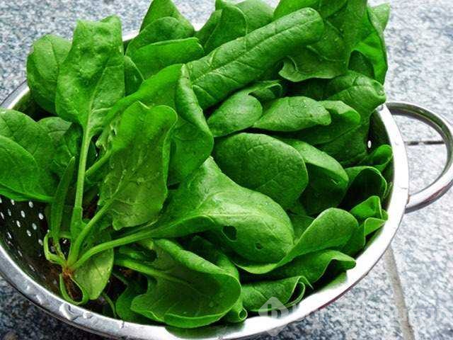 İlaçlarla alınmaması geren besinler
