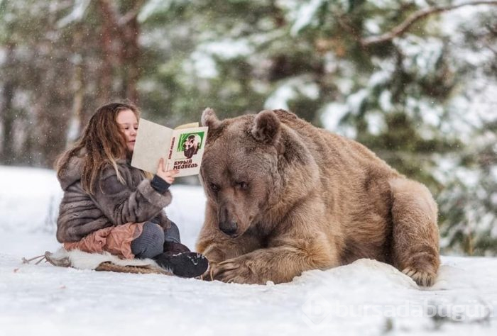 Instagram'ın yeni fenomeni: Ayı Semyon