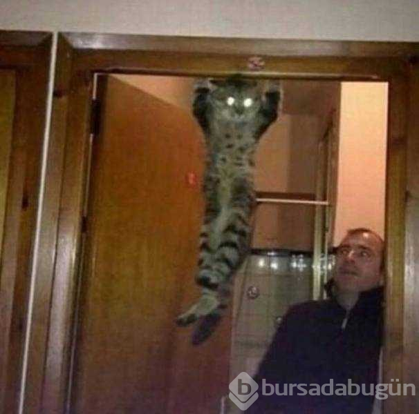 Günün en çok paylaşılan fotoğrafları (23.01.2019)
