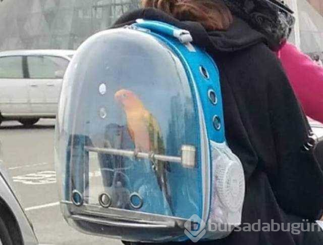 Günün en çok paylaşılan fotoğrafları (23.01.2019)
