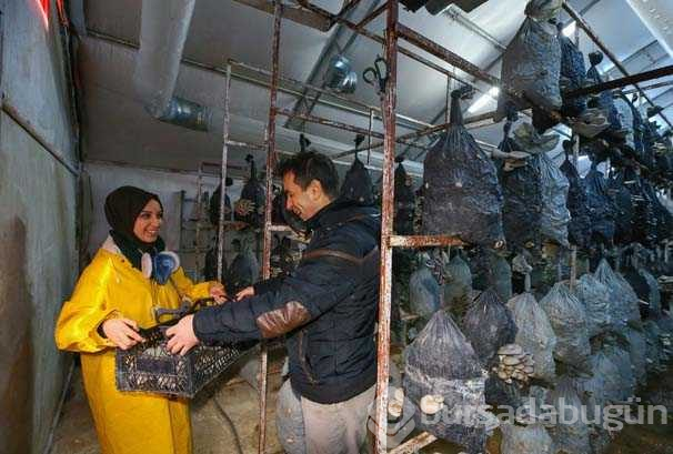 Tadını beğendi, devlet desteğiyle üretici oldu!
